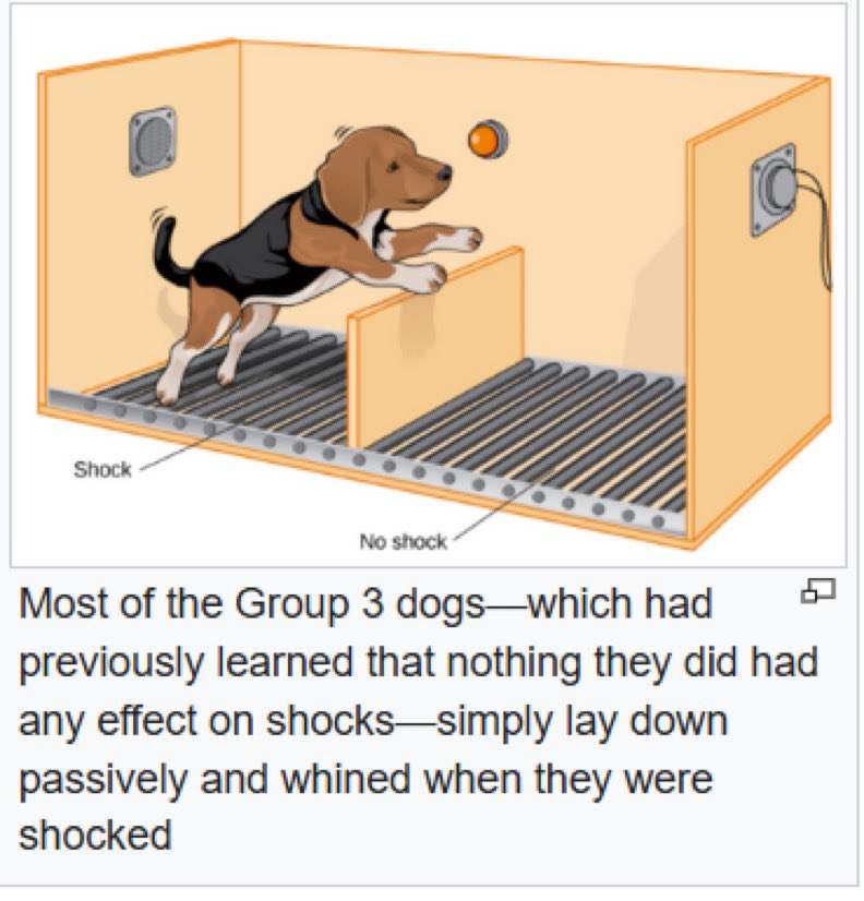 Watching the local 0-2er give up before the round even started