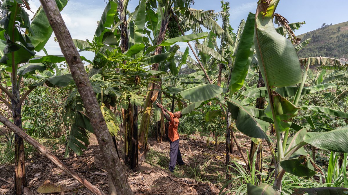 Raising The Village tweet media