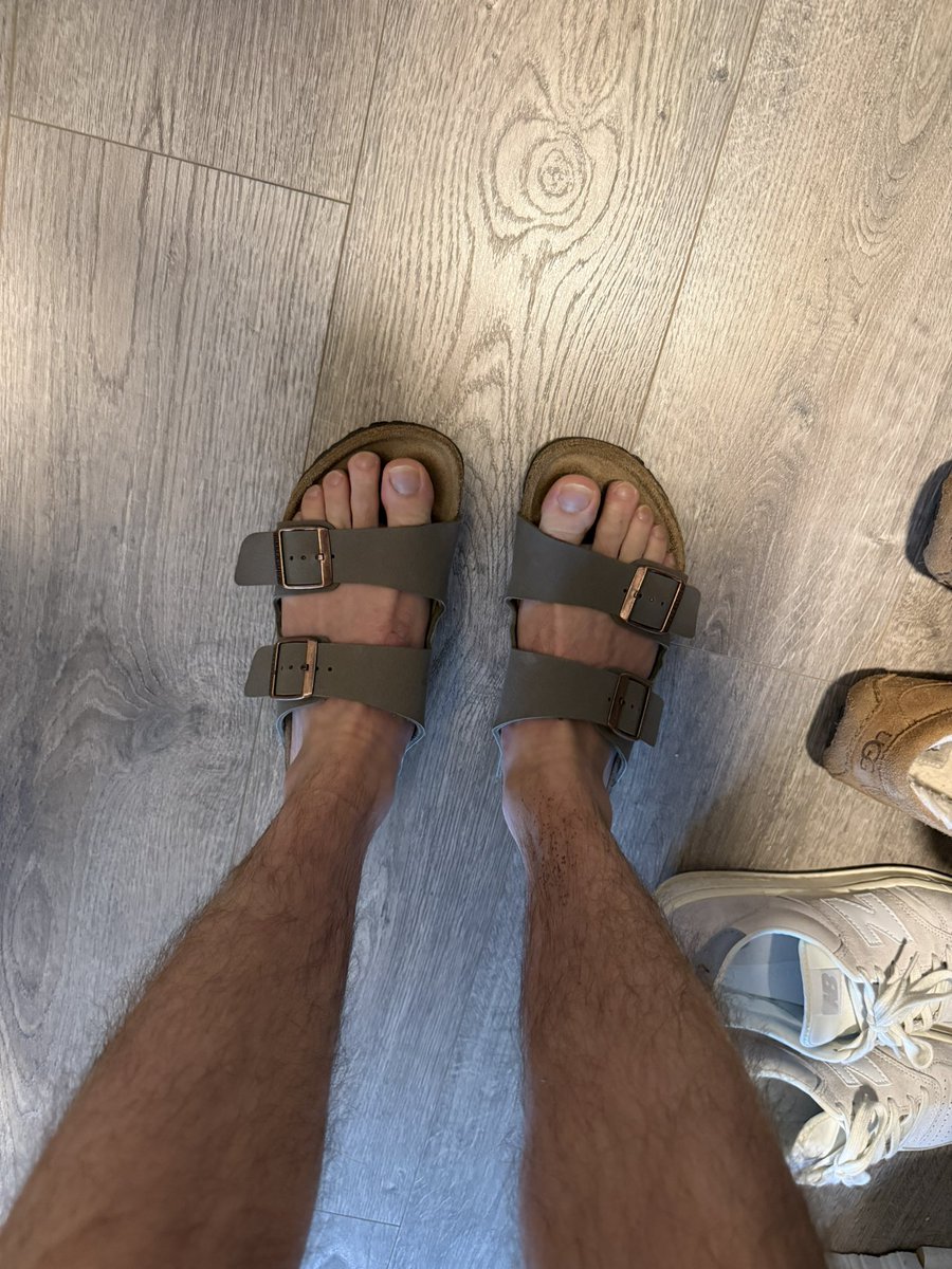 Brotoes tweet media