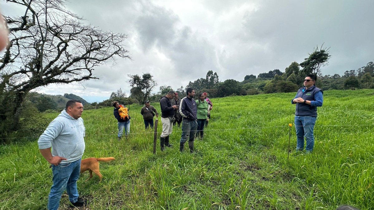 Tecnig@n - Cauca y Valle del Cauca tweet media
