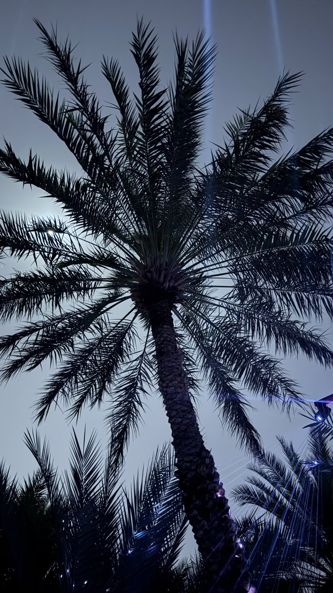 Lil Wayne tweet media