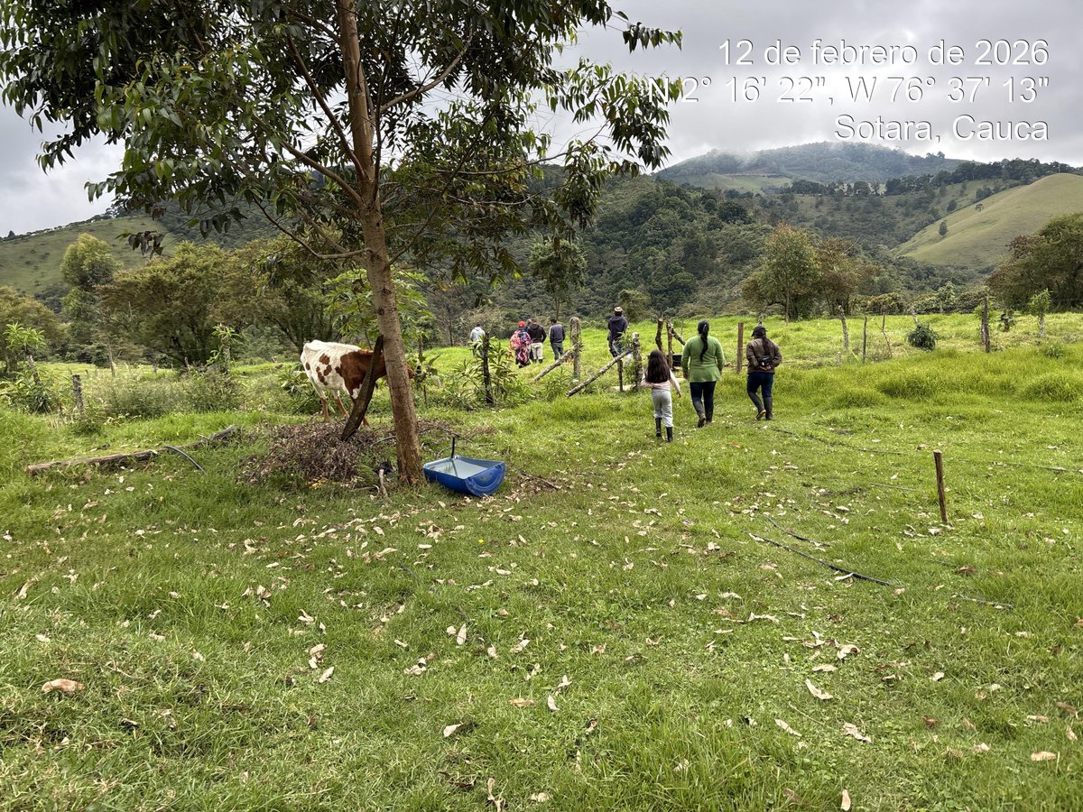 Tecnig@n - Cauca y Valle del Cauca tweet media