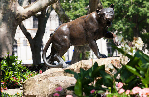 PittPreHealth tweet media