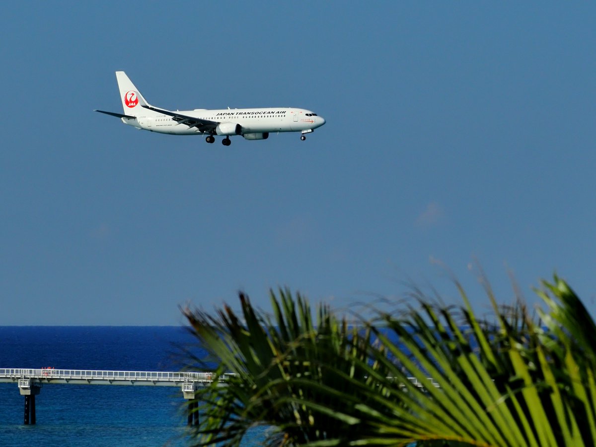 🛬 うちな～の翼 JA12RK B737-800 #JTA #日本トランスオーシャン航空