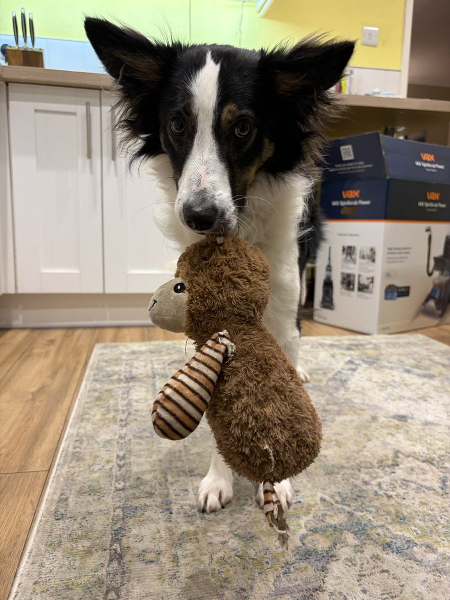 Dear Mr Llama

I’m sorry to hear that your legs fell off (it wasn’t me, it was probably that cat)

Love

Bess 😘