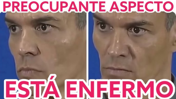 willowofwood tweet media