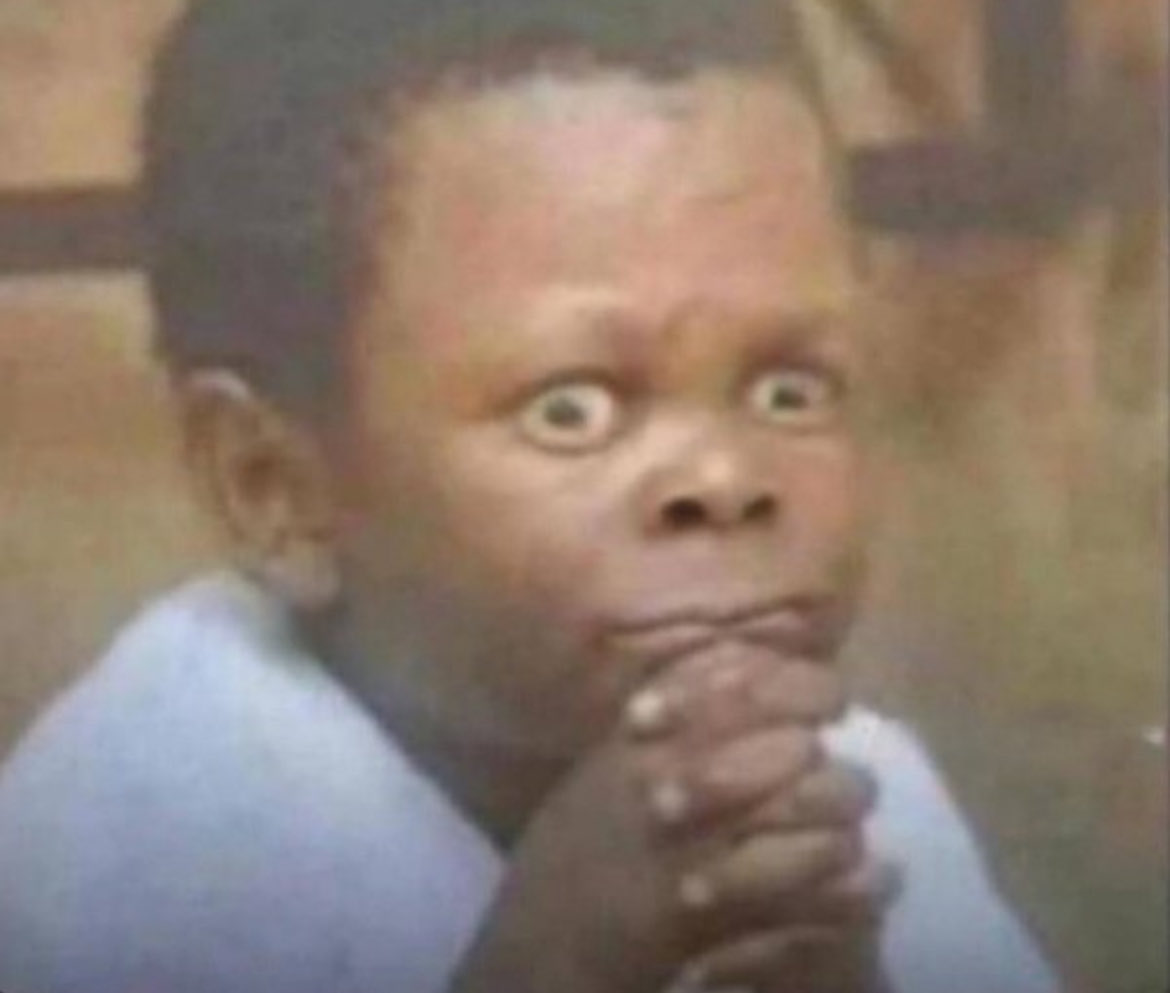 Echoled🎤 tweet media