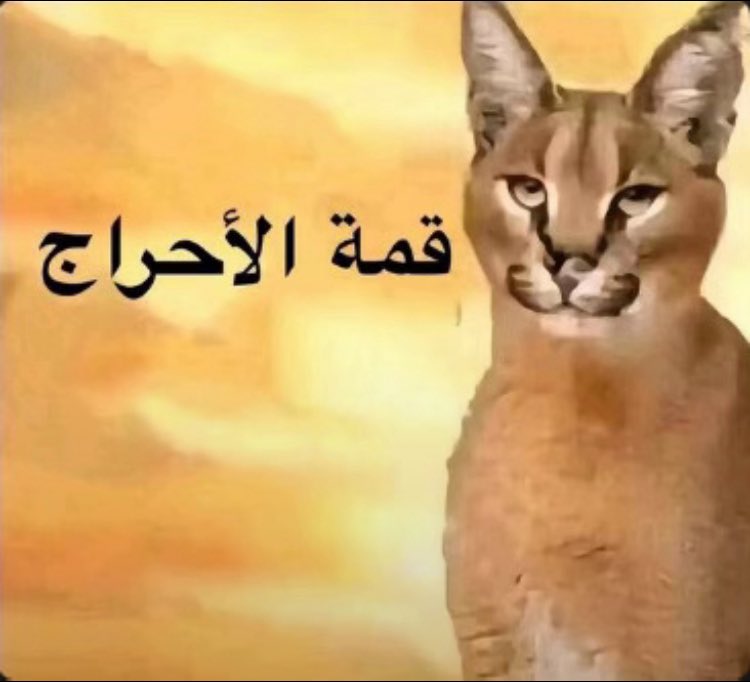 ضيـاء tweet media