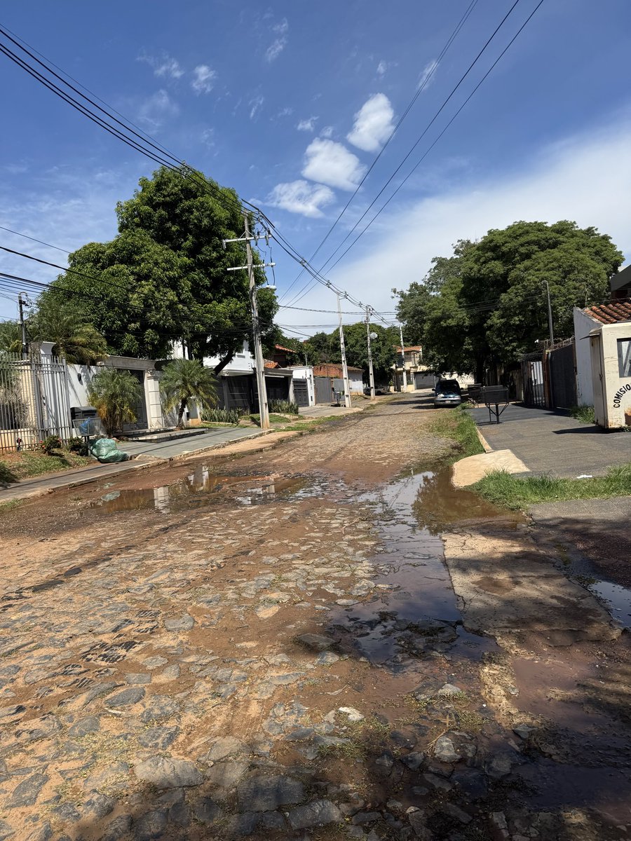 luis bernardo troche dias tweet media