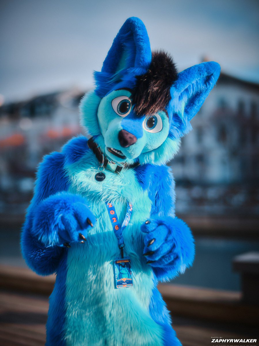 Yayy Happy #FursuitFriday :3 🐾 
Found this amazing picture on furtrack :3 But I’m still sad that the #NFC is over :c

📸 <a href="/ZapyZapZap/">⭐ ZAPHYR ⭐</a> 
🪡 <a href="/whitewingsuits/">Whitewing Creations</a> 

#furry #furryfandom #NordicFuzzCon