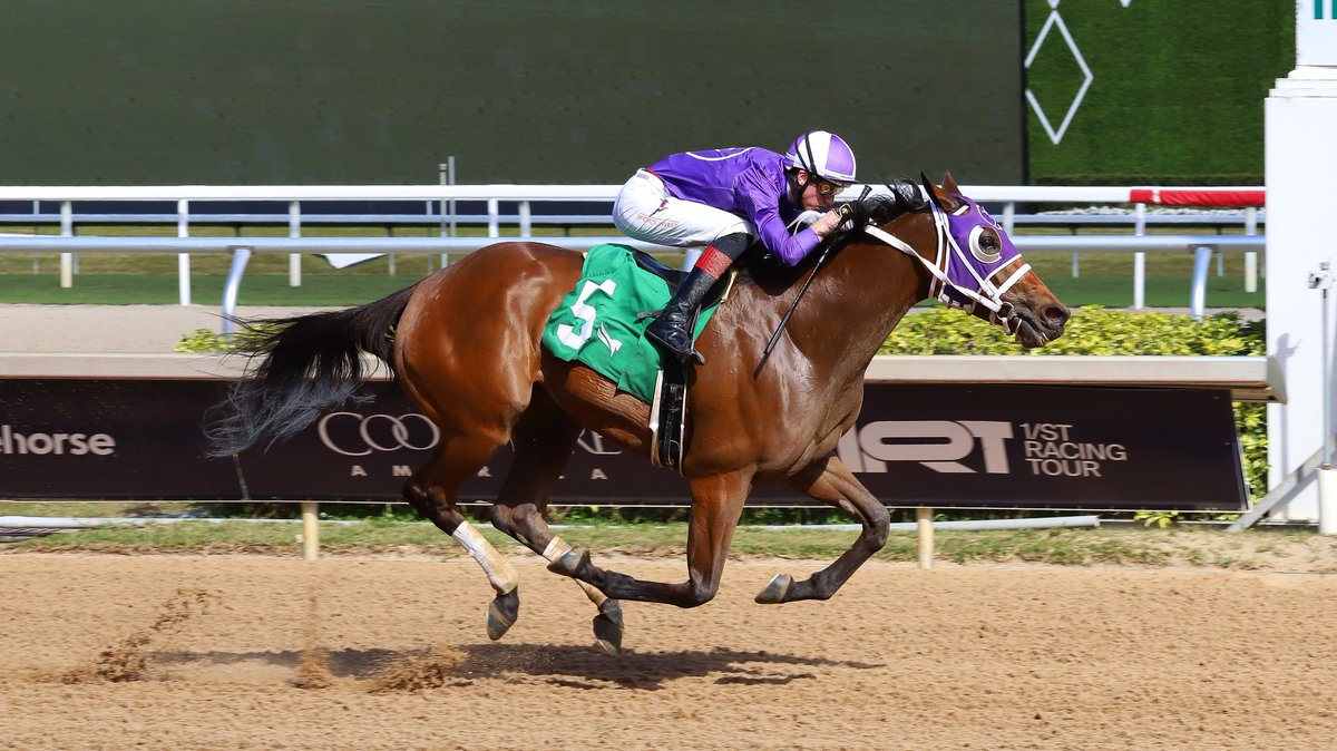 Gulfstream Park tweet media