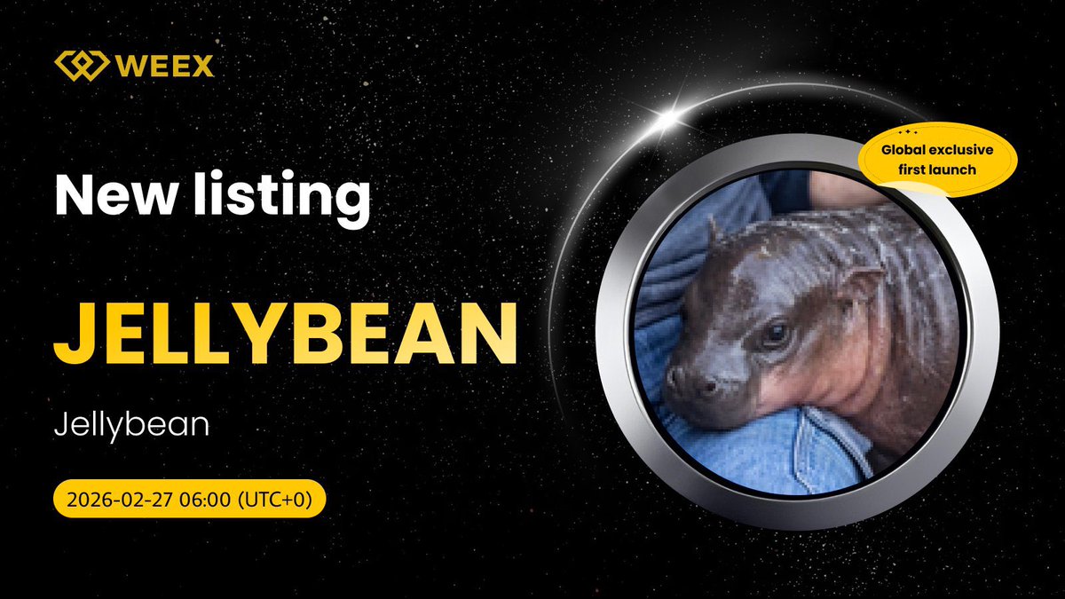 Dappstar_M's tweet image. The clock is ticking. ⏳ When the countdown hits zero, opportunity begins.
New token. Fresh momentum. Unlimited potential. 🚀

#weextrading #alpaca #helevier #SWCH #viratkohliretirement #moqeel #BBB25  #LoveIsland #FIFACWC #SB19 #BLACKPINK