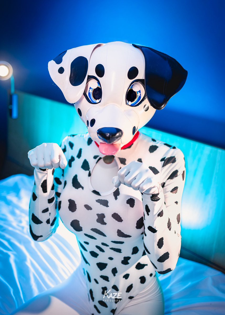 Arf! Awaiting your next command! 🐶

#latex #furry
📷 - <a href="/KazeShiba/">Kaze/Kazumi @ Bluesky</a> 
🎭 - <a href="/karinKariwanz/">Karin / Kariwanz カリン / カリわんズ</a>