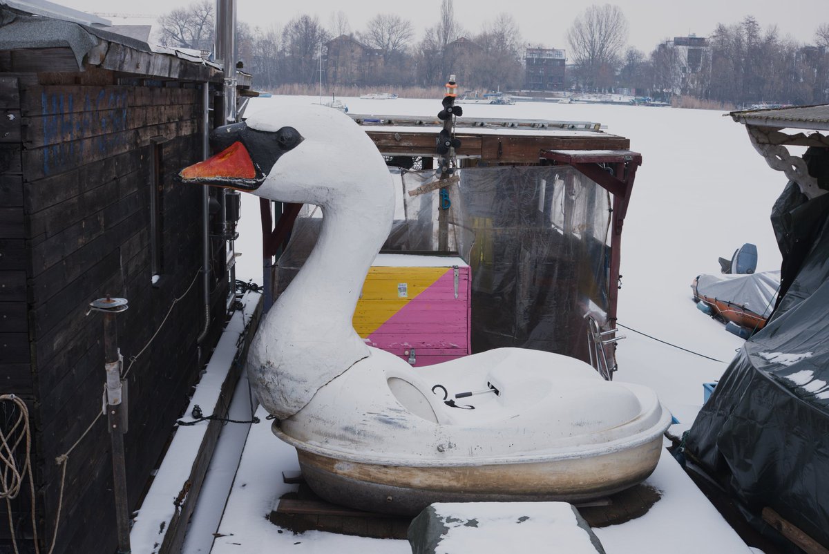 Ciaron Linstead 🇺🇦 tweet media