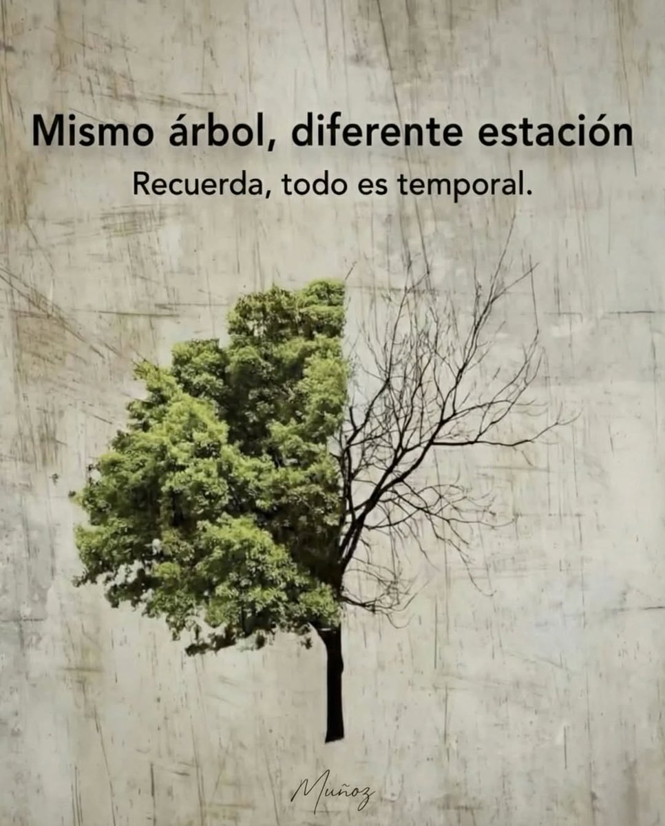 Mary Paz Jiménez tweet media