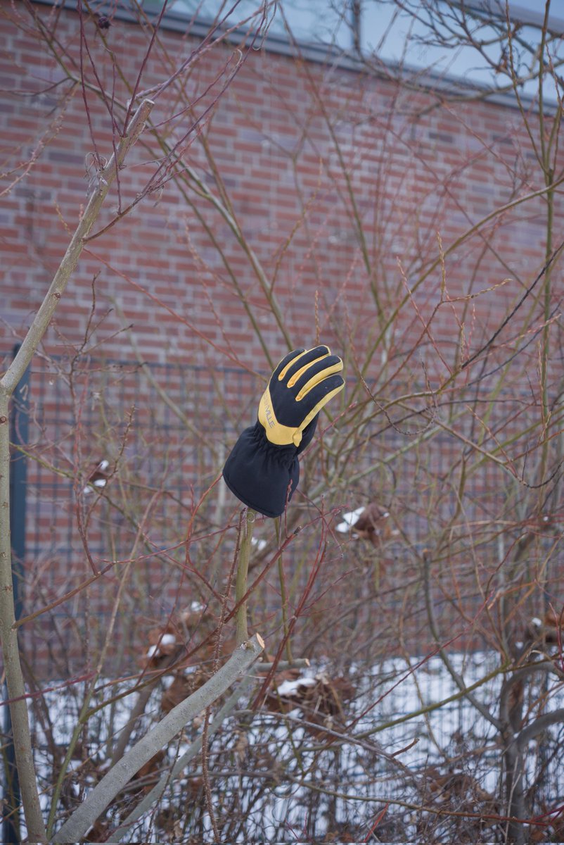 Ciaron Linstead 🇺🇦 tweet media