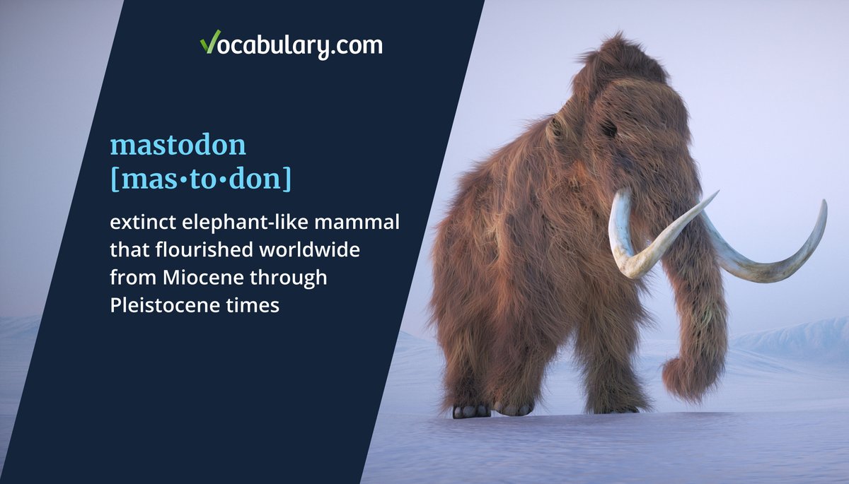 Vocabulary.com tweet media