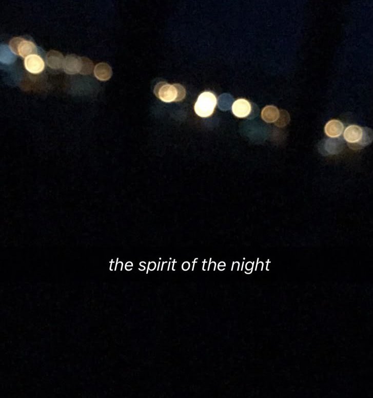 late night, everything still 🌑

just you under the starlight

A deep feeling