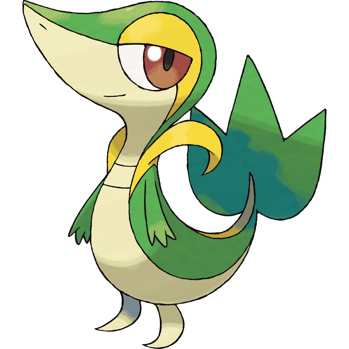 Touyarokii's tweet photo. Big fan of them giving starter pokemon the sassy aura in their designs https://t.co/cO8VIYOsMM