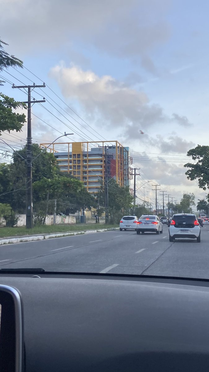 Doce, dengosa e polida 🍒🦁 tweet media