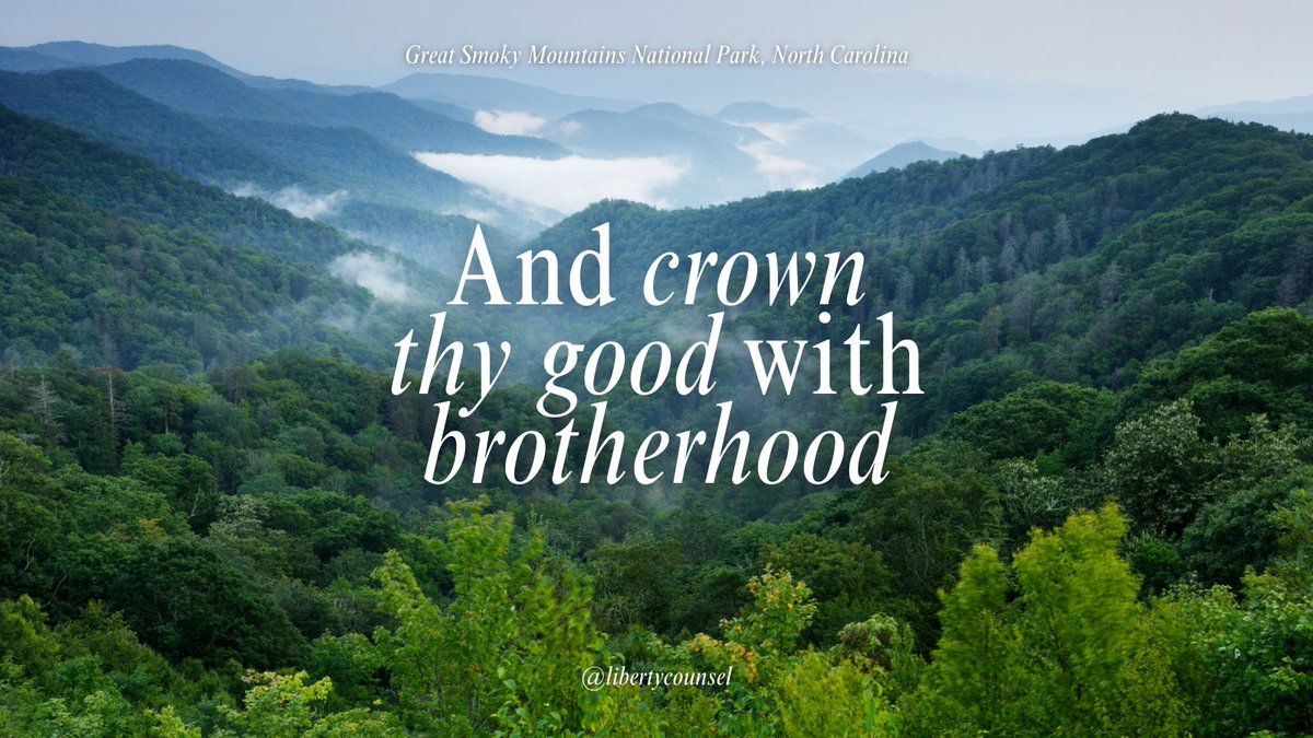 Liberty Counsel tweet media