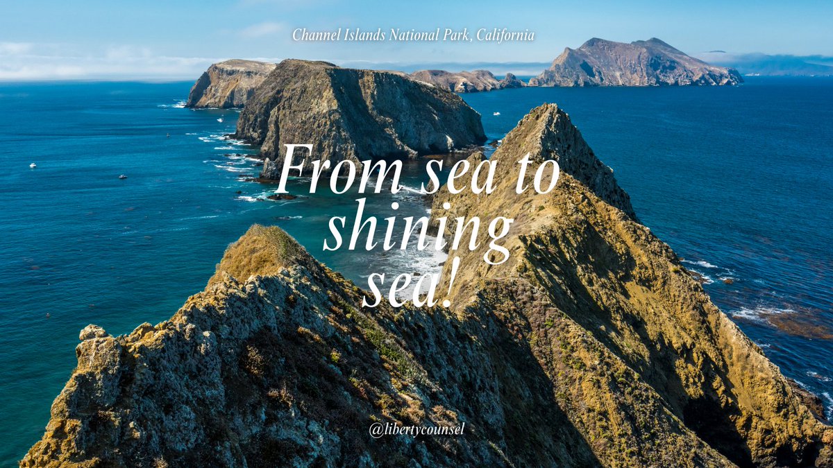 Liberty Counsel tweet media