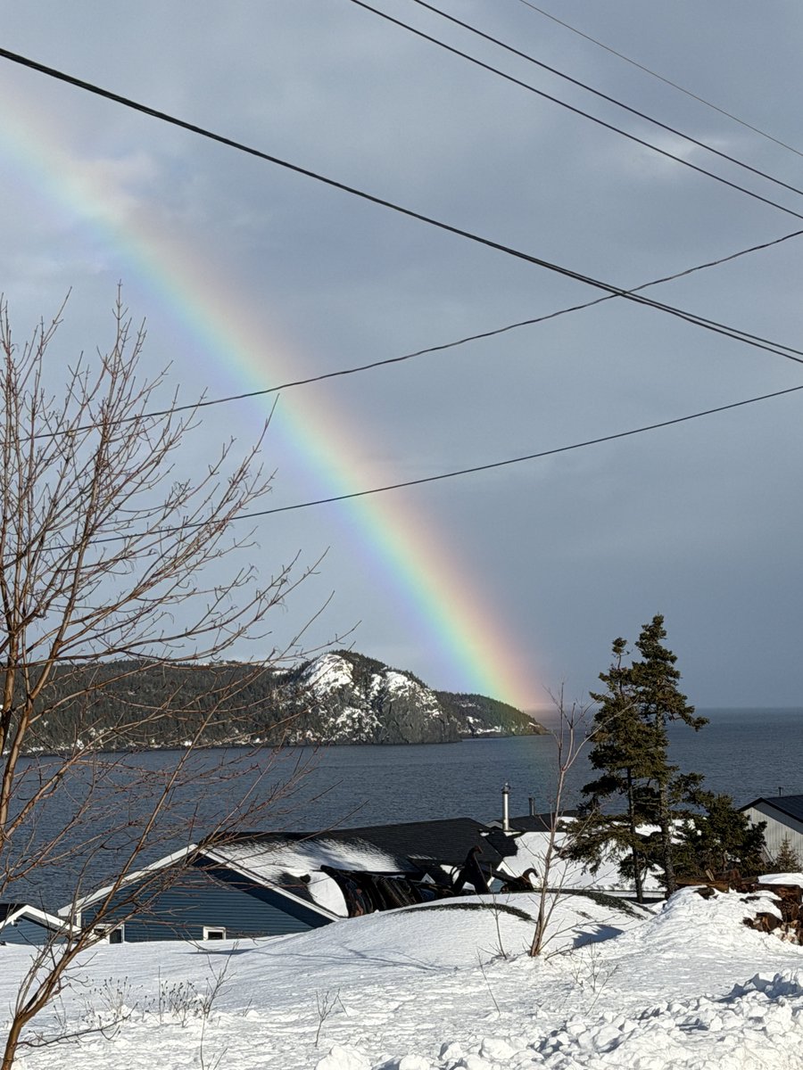 Wanda Clarke ✈️🇨🇦 tweet media