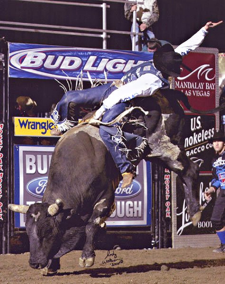 The Bull Riding Hall of Fame tweet media