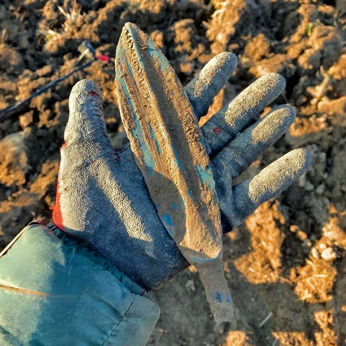 _Treasure_Kings's tweet image. Detectist's find from Ukraine🇺🇦: 
   Late Bronze Age Srubna culture bronze dagger, dug at 40 cm depth.
   Look at this amazing malachite patina - bright green and super well preserved! 💚
   3500+ years old beauty straight from the soil.
#metaldetecting #history #patina