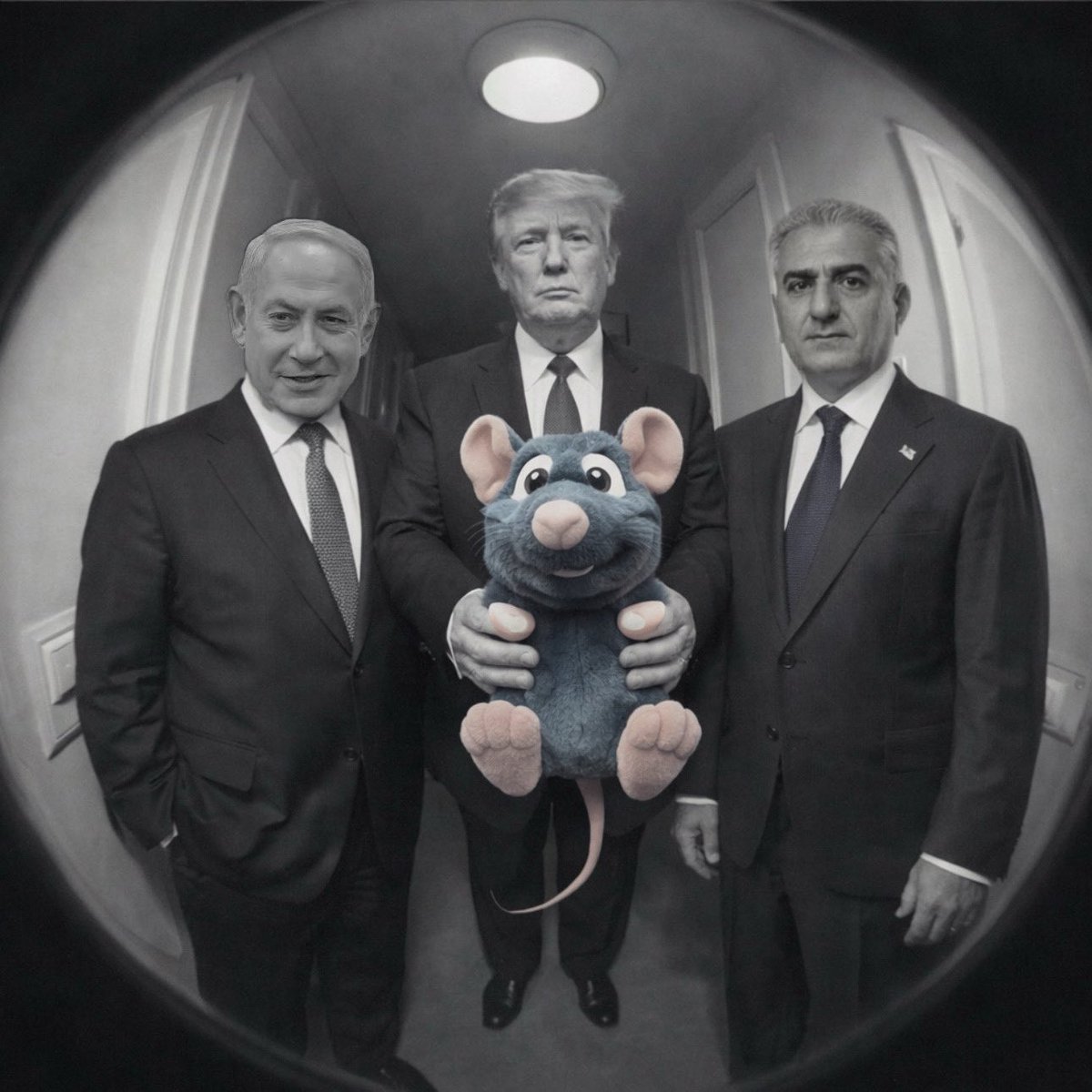 والترک 🇺🇸🇮🇷 tweet media