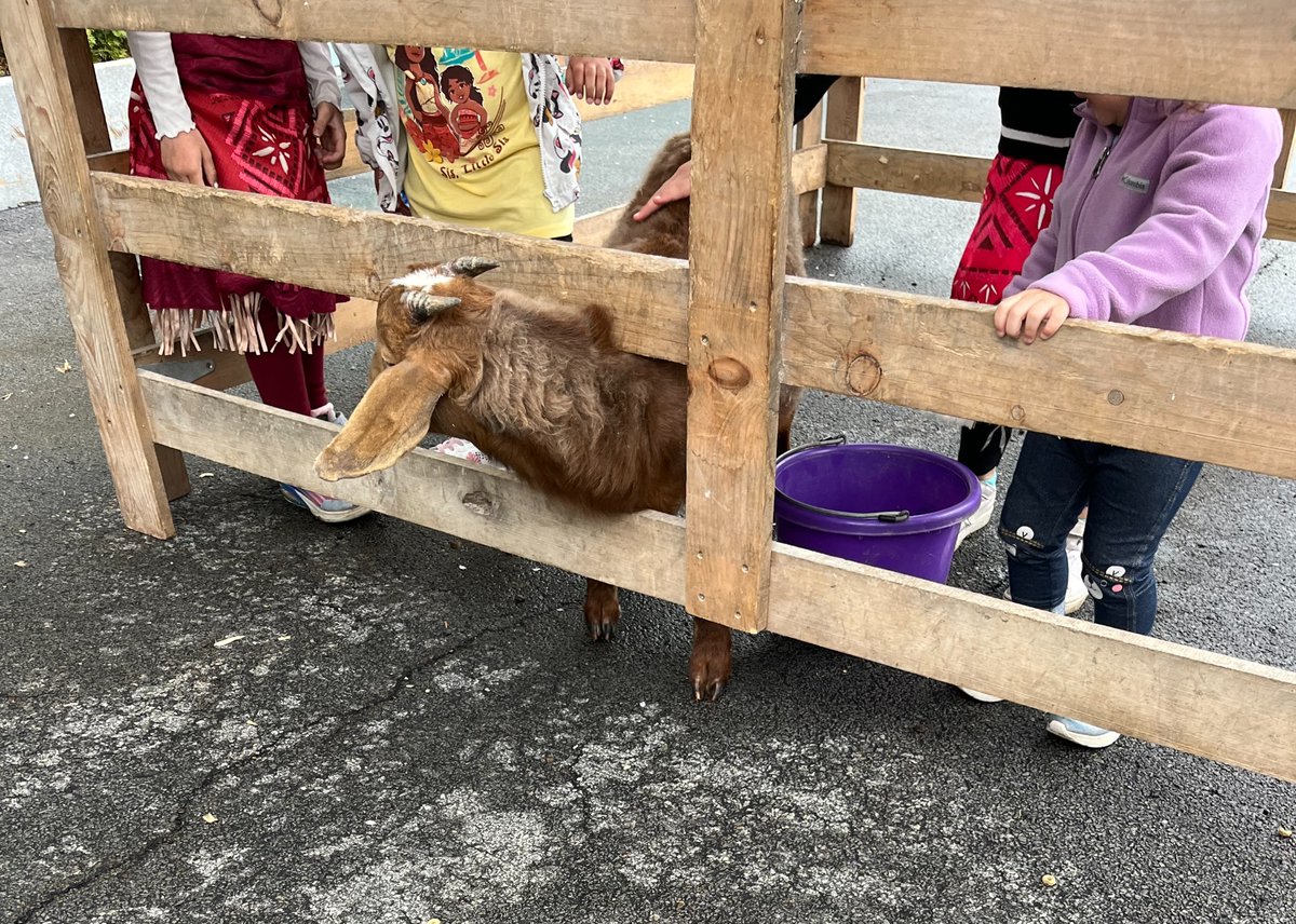 Hillside tweet media