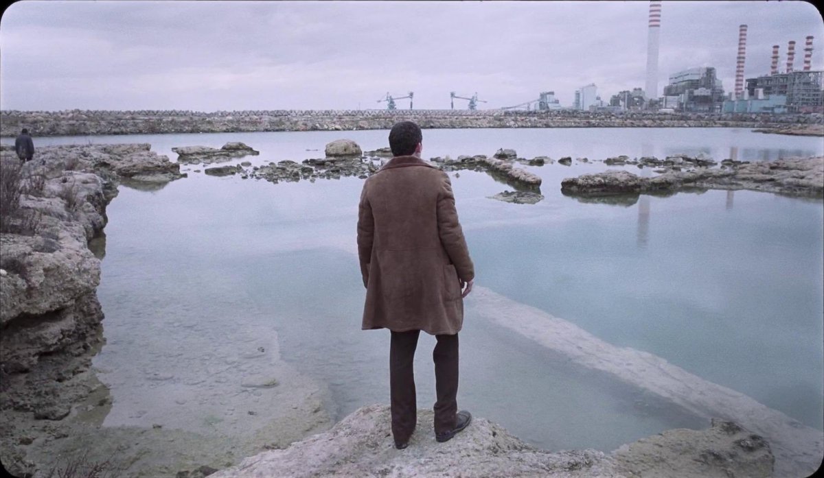 reelandroll's tweet photo. Hopefully the new Alice Rohrwacher will also reunite her with Hélène Louvart. One of the best director/cinematographer duos in cinema. https://t.co/uS8m5WrdTo