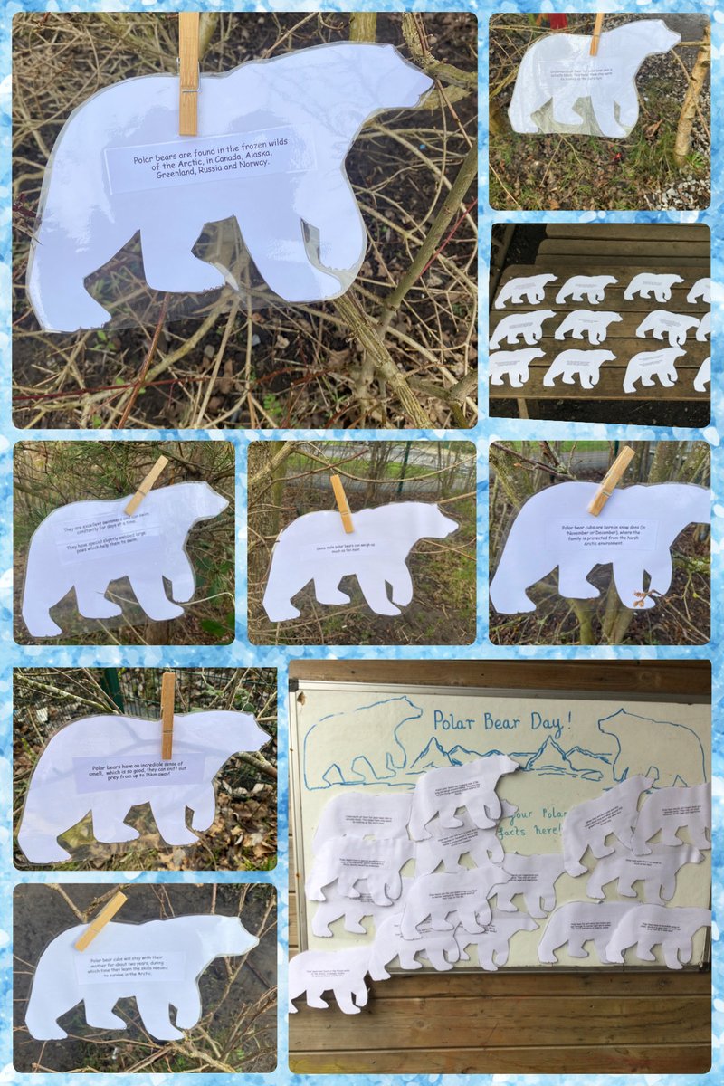 Flynn In The Forest tweet media