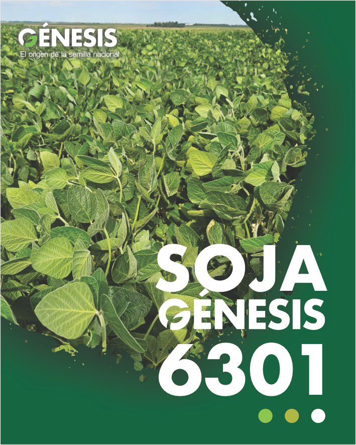 Semillas Génesis tweet media