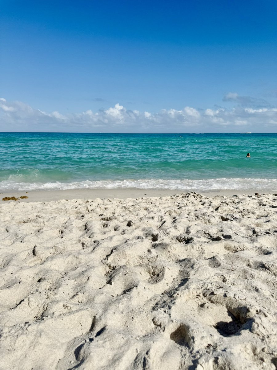 Celestejoann's tweet photo. Excited to be in Miami for @Traders4ACause ! https://t.co/qA598Qd6Eb