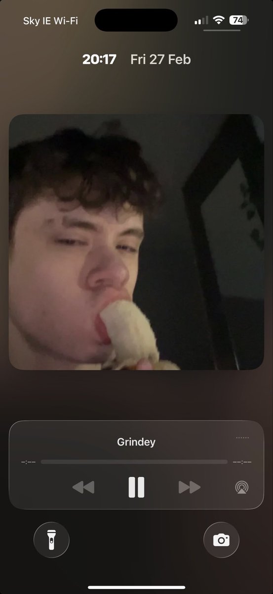 FireBird tweet media