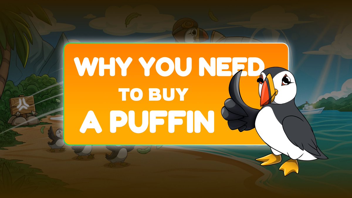 Puffins tweet media