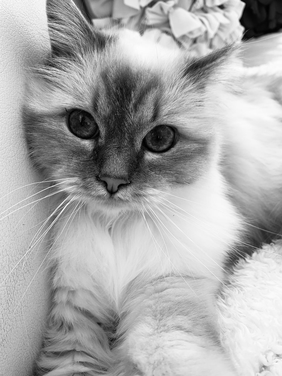 Elizabeth Griffith tweet media