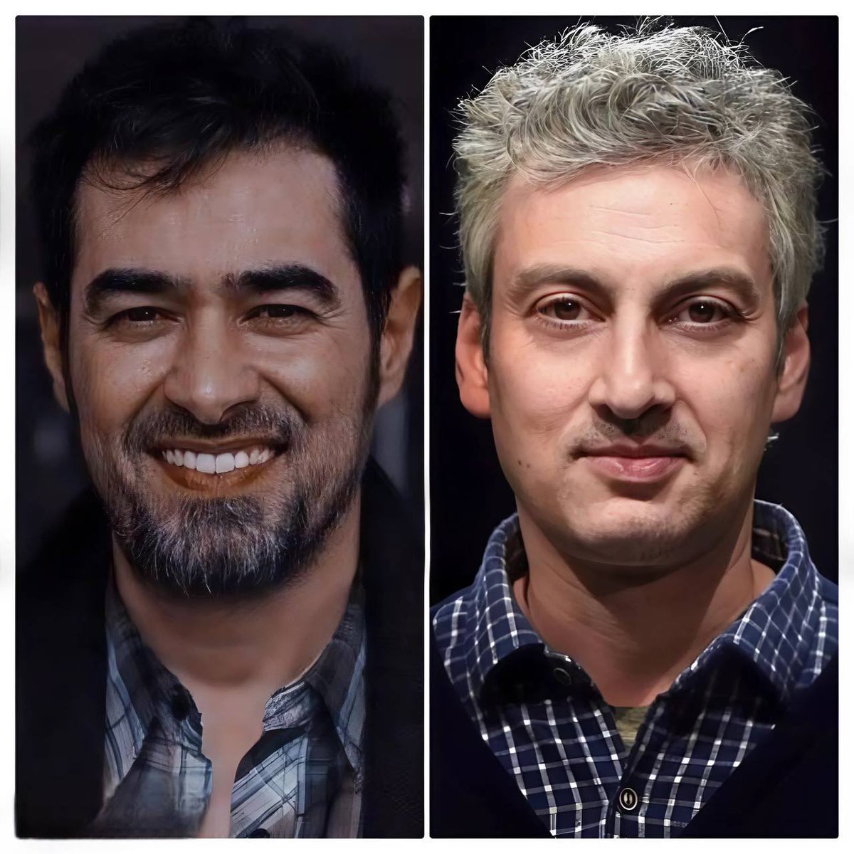 Kämpfer tweet media