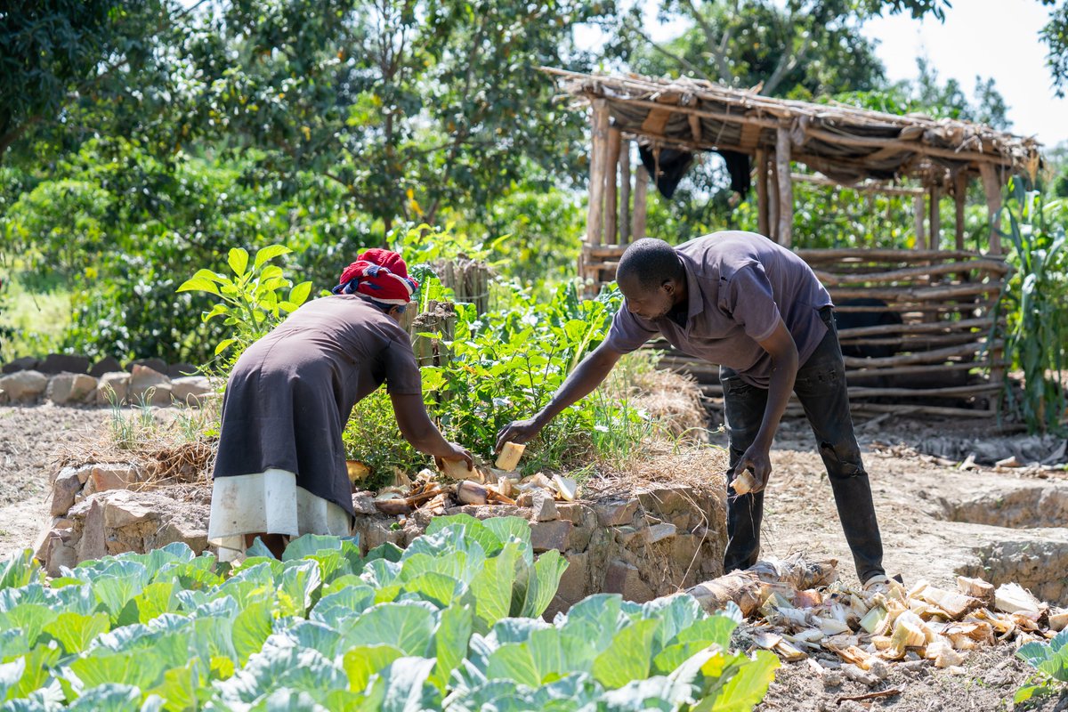 Raising The Village tweet media