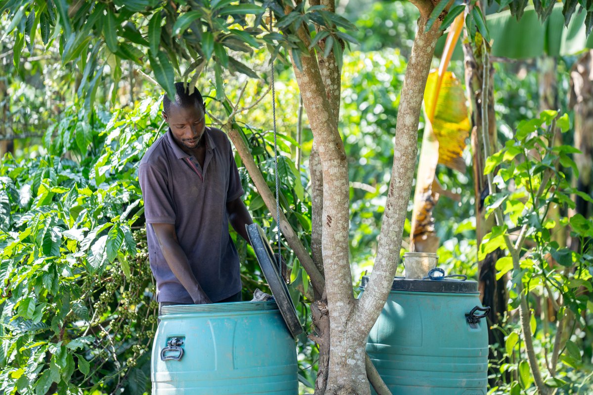 Raising The Village tweet media