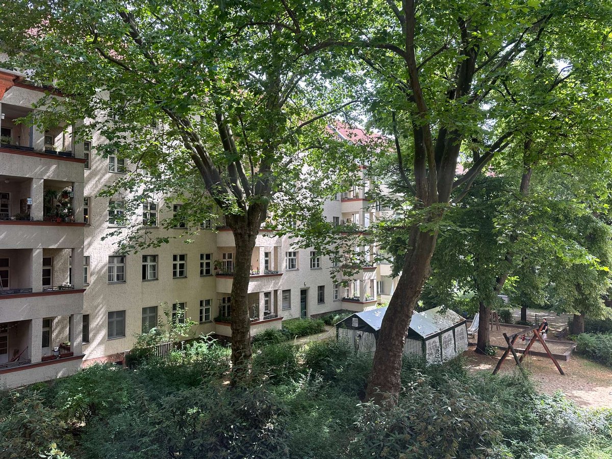 Alicia, Courtyard Urbanist tweet media