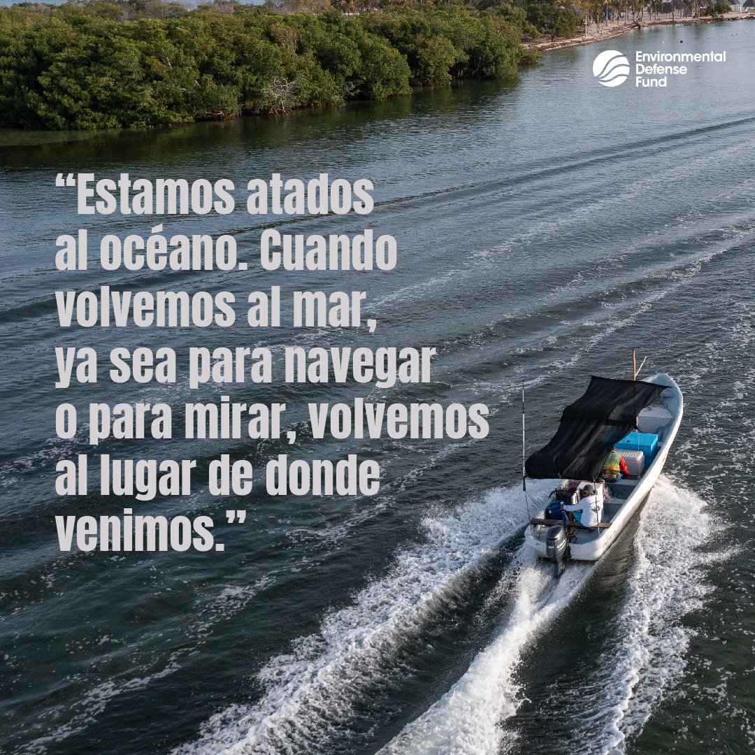 EDF en Español tweet media