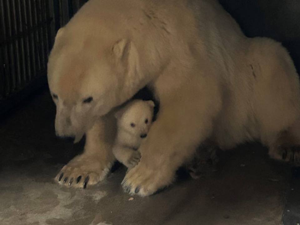 TheBlockFather tweet media