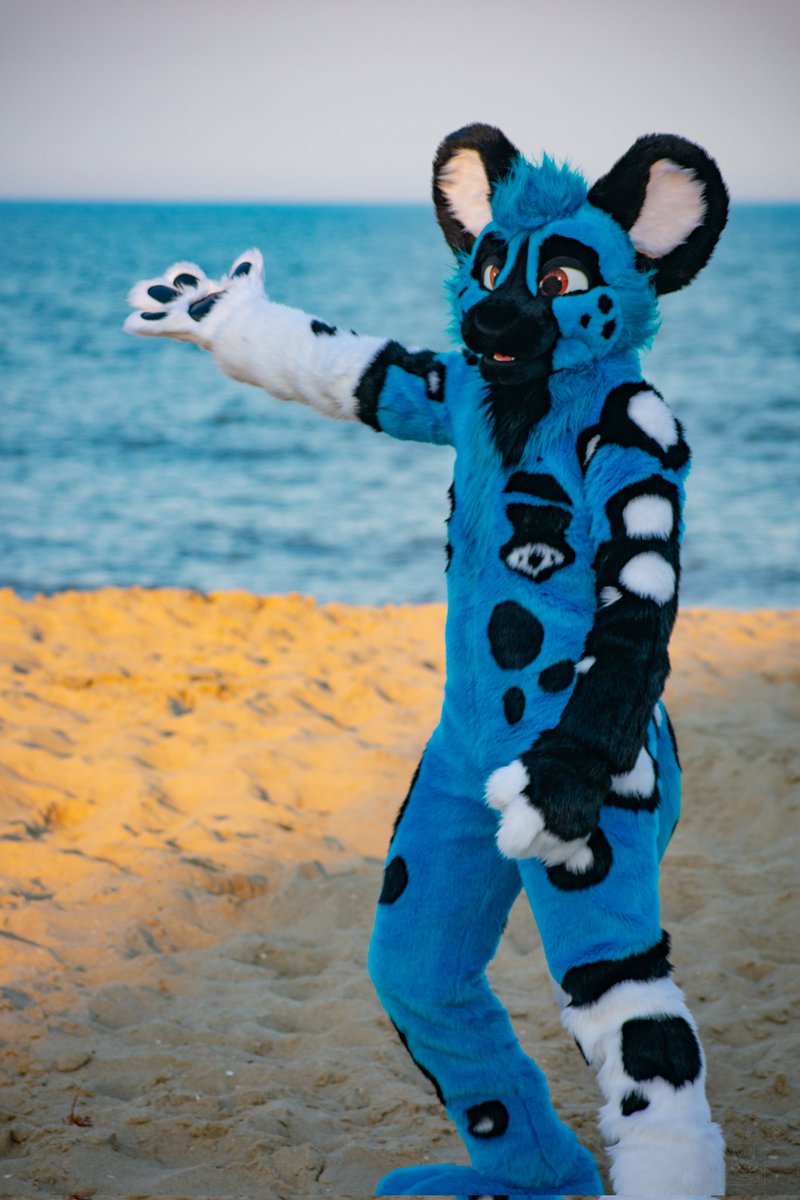 Wastegate Doggy! Doggi! Doggé! tweet media