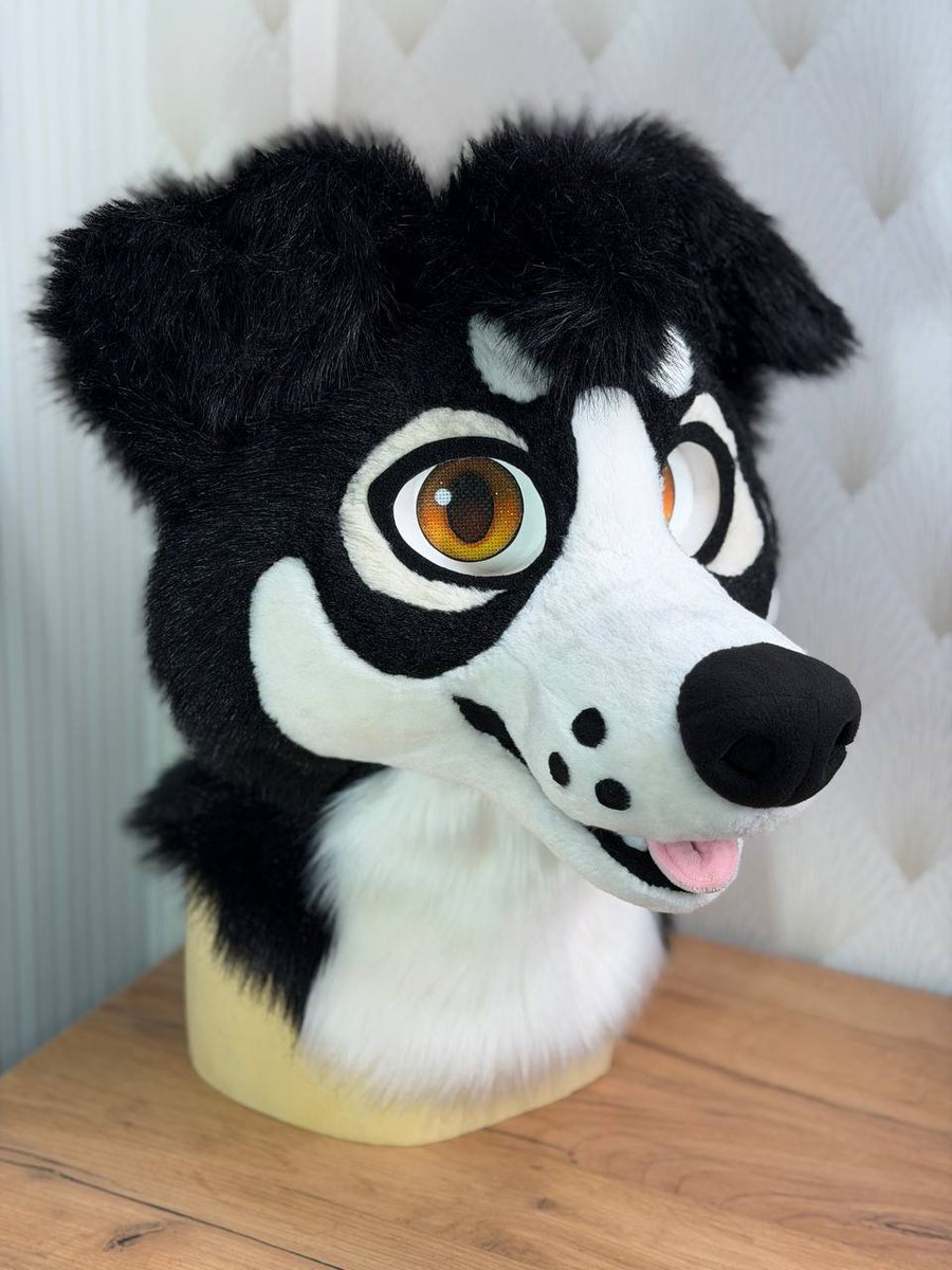 suzamuri_fur's tweet photo. A week ago I did a refurb of this head with replacing old matted color fur to the new ivory soft fur. This pup was made almost 10 years ago originally. It looks like brand new now🐶🤍 https://t.co/puyYrKJ8er