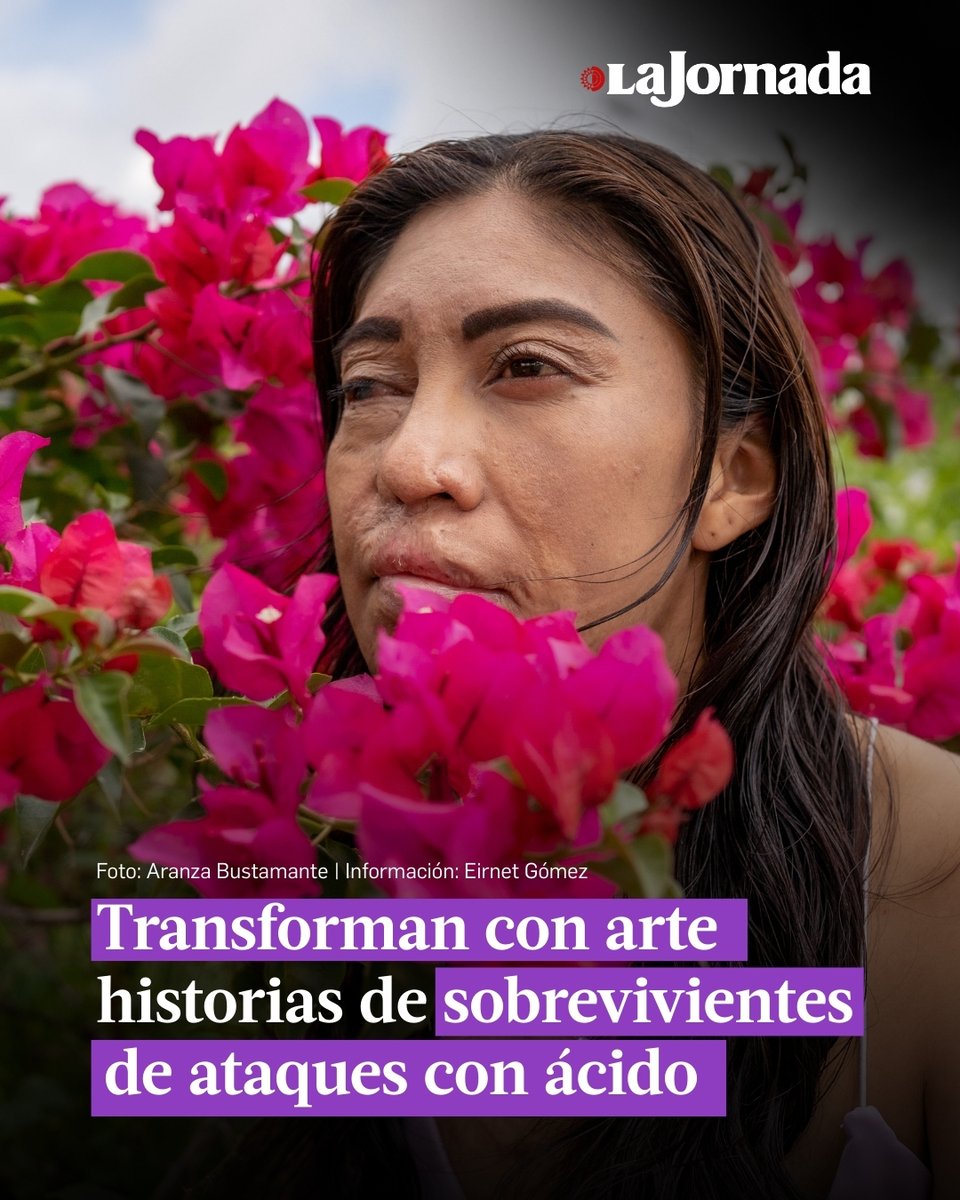 La Jornada tweet media