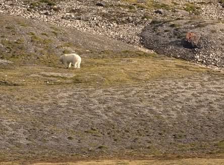Ebru Caymaz tweet media