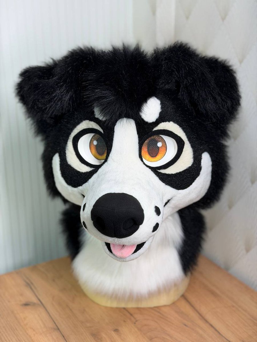 suzamuri_fur's tweet photo. A week ago I did a refurb of this head with replacing old matted color fur to the new ivory soft fur. This pup was made almost 10 years ago originally. It looks like brand new now🐶🤍 https://t.co/puyYrKJ8er