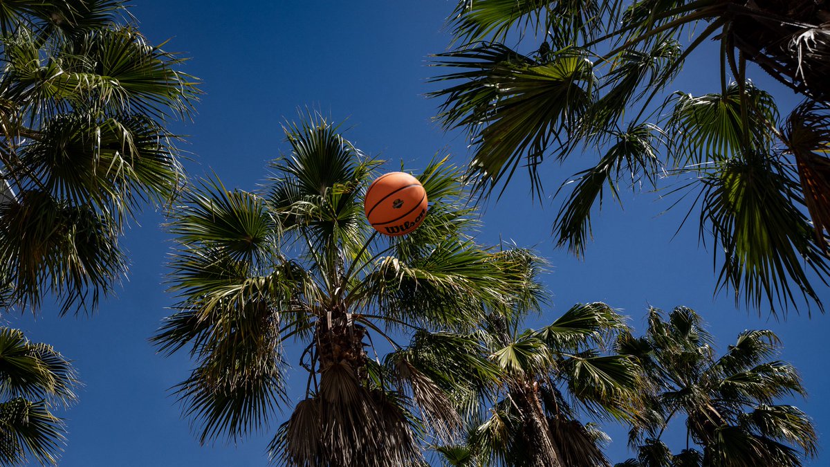 Atlantic Sun Conference tweet media